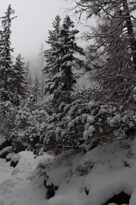 studenovodska-dolina